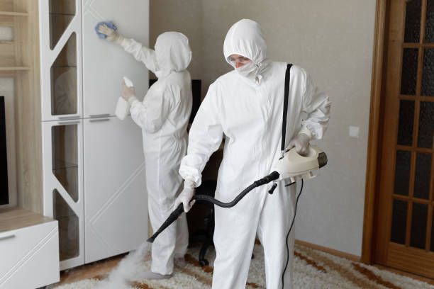 Affordable Infectious Disease Decontamination solutions in McClelland, IA